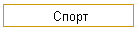 Спорт