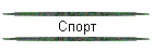 Спорт